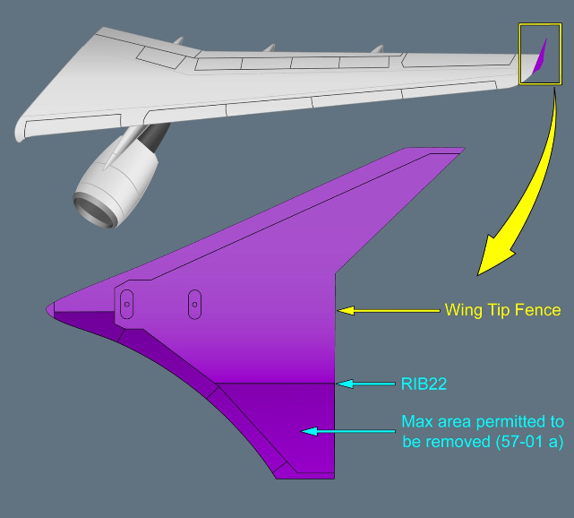 ILLUSTRATION WING TIP FENCE